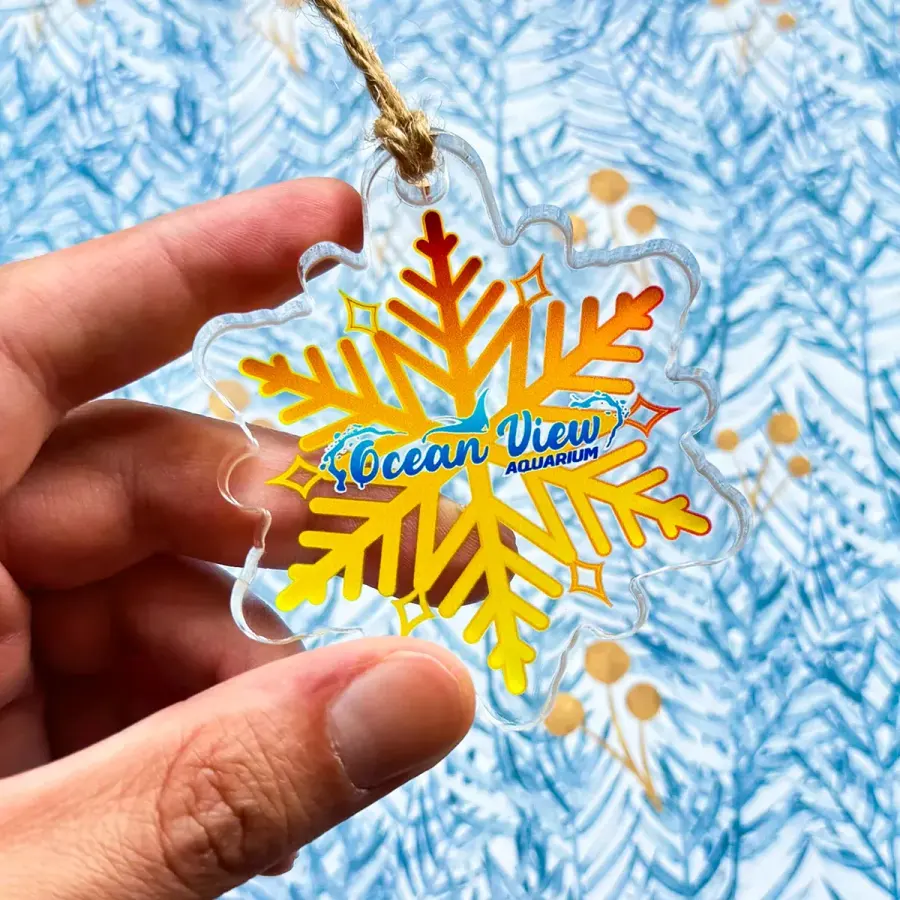 1/8" Ultra Vivid Color Ornament in Clear