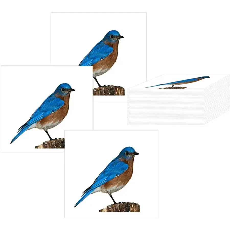 2" x 2" Custom Temporary Tattoos in Multi