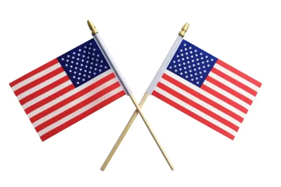 Handheld American Stick Flag